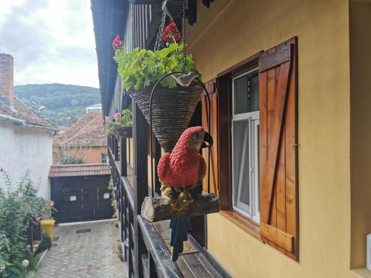 Hotel Casa Cu Cerdac Sighişoara Exterior foto